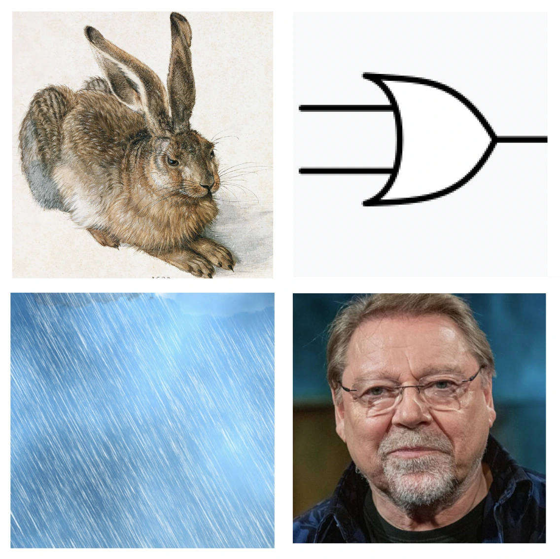 Bilderrätsel177
